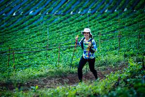 BIB: 
                            <button type="button" onclick="openModal(19160122)" class="btn btn-primary btn-sm float-right btn-popup" data-toggle="modal" data-target=".modal-high-quality">
                        <i class="fas fa-shopping-cart"></i> Add to Cart
                    </button>
                                            <button type="button" onclick="isThisMe(19160122, true)" class="btn btn-success btn-sm float-right btn-popup btn-isme hidden" data-toggle="tooltip" data-placement="bottom" title="นี่คือรูปของคุณใช่ไหม คลิกที่นี่เพื่อเอาเข้าอัลบั้ม">
                        <i class="fas fa-plus"></i> Add to album
                    </button>
                    <button type="button" onclick="isThisMe(19160122, false)" class="btn btn-warning btn-sm float-right btn-popup btn-isnotme hidden">
                        <i class="fas fa-ban"></i> Remove from album
                    </button>